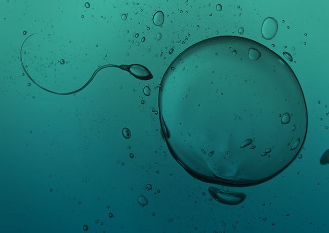 examen learn sperm DNA test