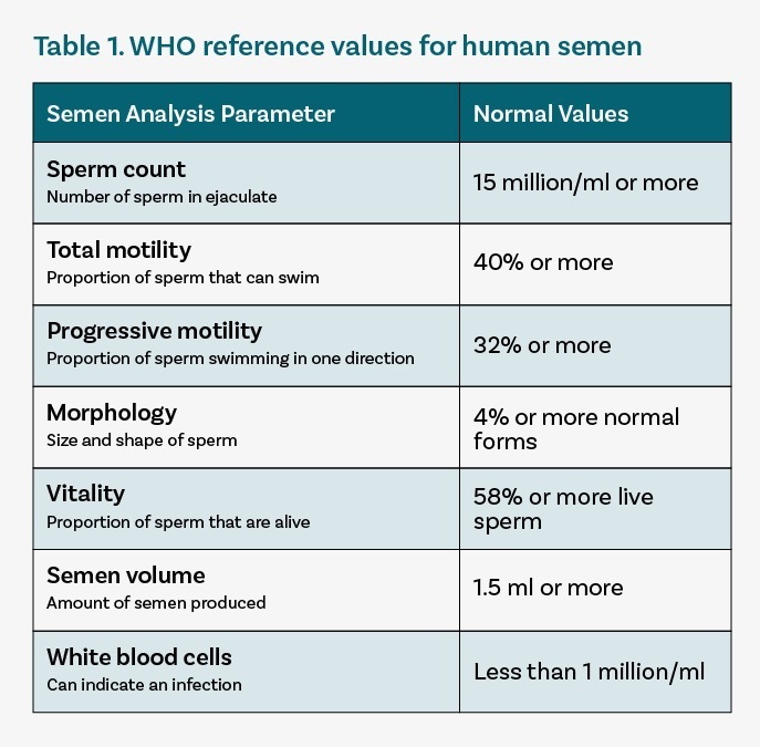 Normal Sperm Volume Telegraph