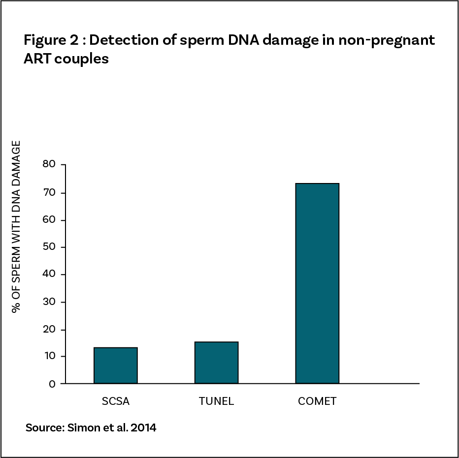 Damage in dna structure of sperm
