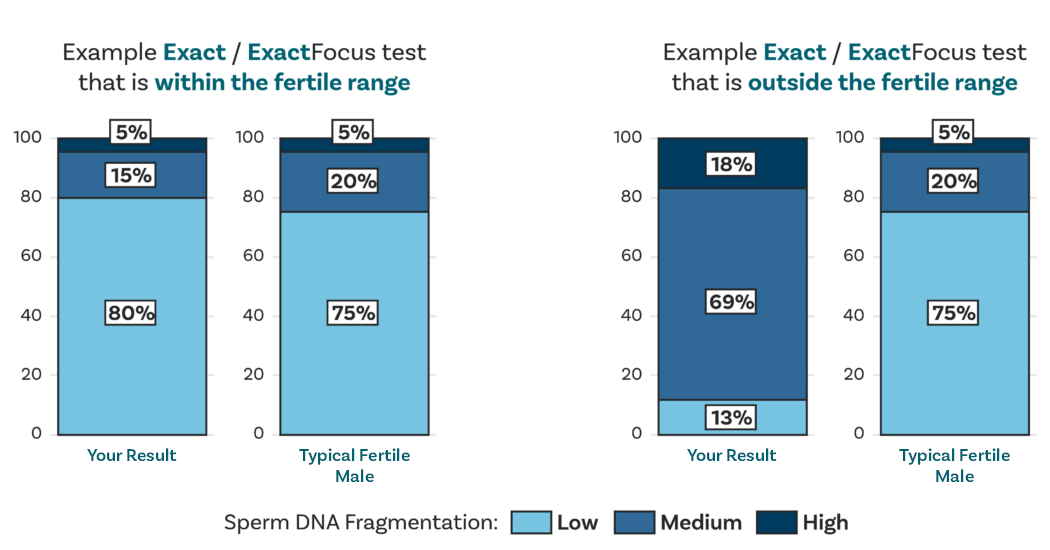 Exact-chart-dna-fragmentation-category-1024x523 Exact chart dna fragmentation category