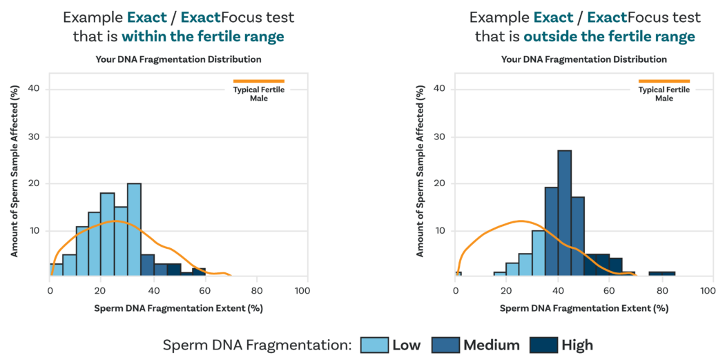 Exact-chart-dna-fragmentation-distribution-1024x501 Exact charts showing DNA fragmentation distribution