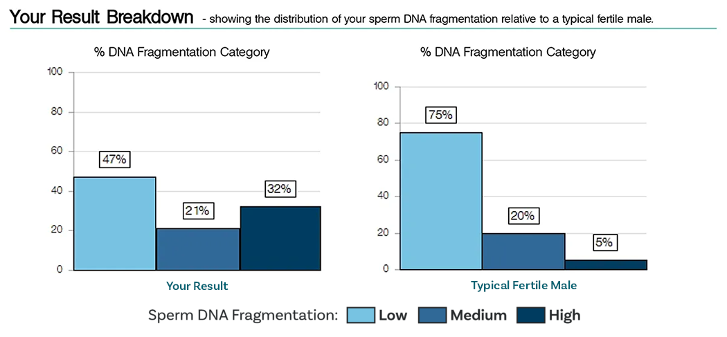 Extend-DNA-fragmentation-category