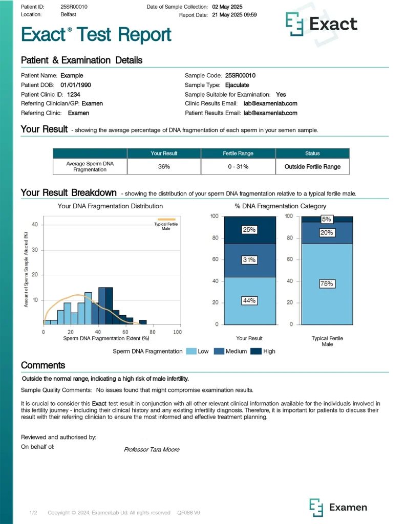 Exact Report Template (Abnormal)