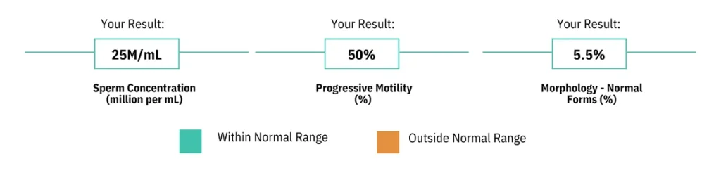 Semen Analysis Results Overview - Examen